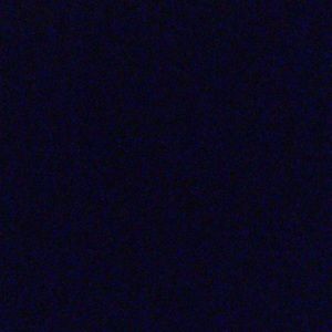 Meet your Posher, Cesar